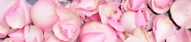 uploaded image
