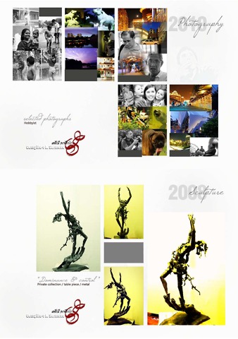 Portfolio Image