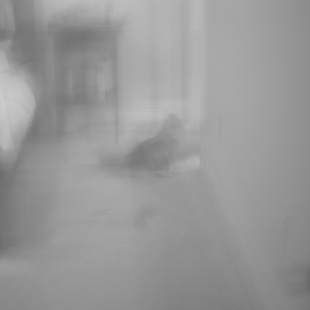 Portfolio Thumbnail