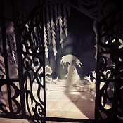 Portfolio Thumbnail