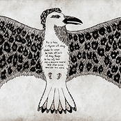 Portfolio Thumbnail