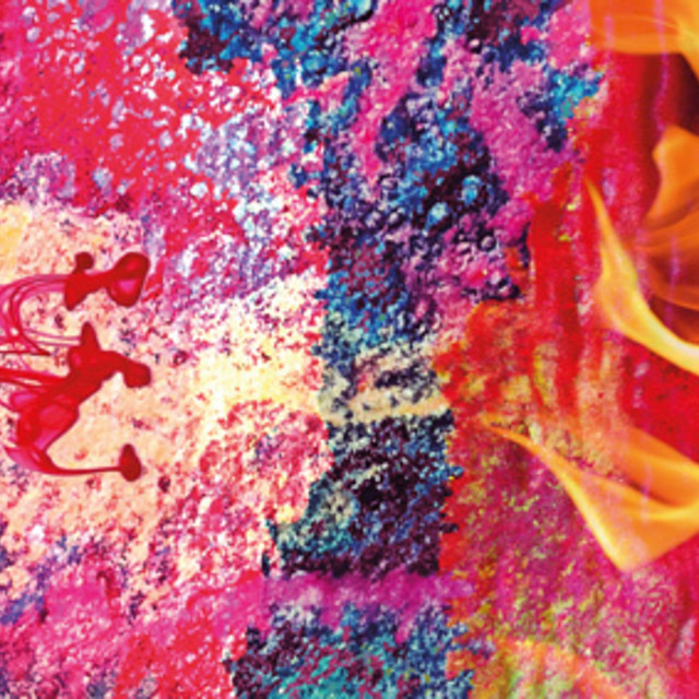 Portfolio Thumbnail