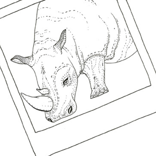 Portfolio Thumbnail
