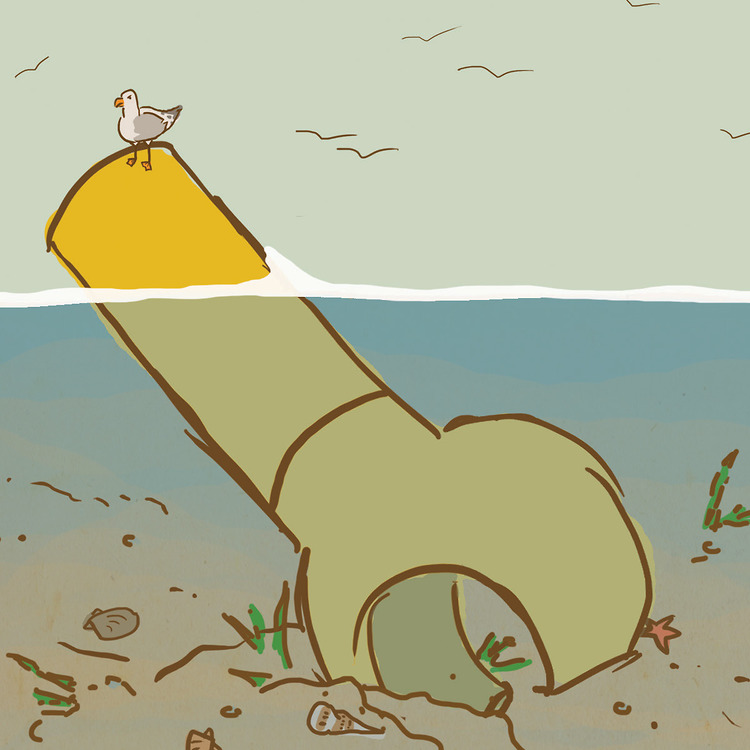 Portfolio Thumbnail
