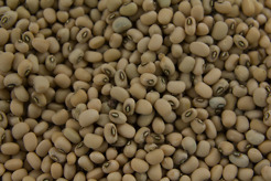 <p>White beans</p>