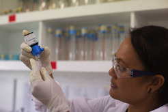 <p>Water testing, Ministry of Fisheries, Rarotonga, Cook Islands</p>