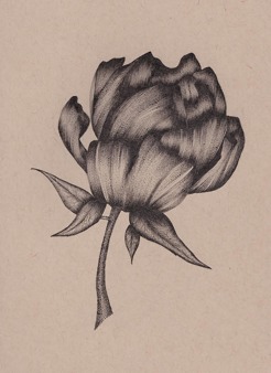 <p style="text-align: center;"><span class="serif_14"><strong>Peony</strong></span></p>
<p style="text-align: center;"><span class="serif_14">11' x 7', Framed</span></p>