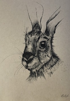 <p style="text-align: center;"><strong>Rabbit *sold*</strong></p>
<p style="text-align: center;"><strong>9' x 12'<br /></strong></p>
