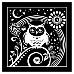 <p>Amelia's owl, B+W.</p>