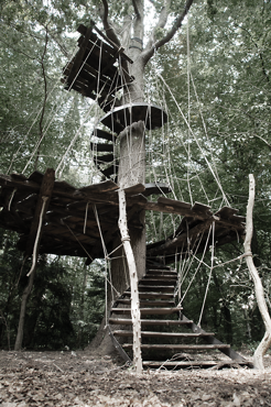 <p>Tree-Terrace (stairs), Wood, Rope&amp;Steel.</p>