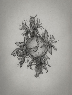 <p style="text-align: center;"><strong><span class="serif_14">Where The Wildflowers Are</span></strong></p>
<p style="text-align: center;"><span class="serif_14">9' x 12'</span></p>