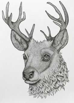 <p style="text-align: center;"><span class="serif_14"><strong>Stag Deer</strong></span></p>
<p style="text-align: center;"><span class="serif_14">11' x 15' inch</span></p>
