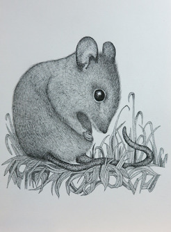 <p style="text-align: center;"><span class="serif_14"><strong>Field Mouse</strong></span></p>
<p style="text-align: center;"><span class="serif_14">6' x 8'&nbsp;</span></p>