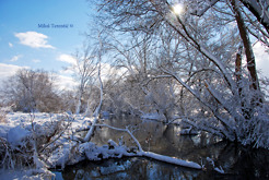 <p>Sunny winter day</p>