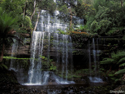 <p>Russell Falls, Tasmania</p>