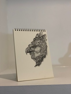 <p style="text-align: center;"><strong><span class="serif_14">Harpy Eagle</span></strong></p>
<p style="text-align: center;">6'x8'</p>