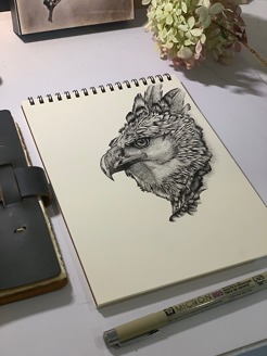 <p style="text-align: center;">Harpy Eagle</p>
<p style="text-align: center;">6'x8'</p>