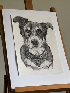 <p style="text-align: center;"><strong><span class="serif_14">Ty</span></strong></p>
<p style="text-align: center;"><span class="serif_14">8'x12'</span></p>