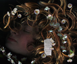 <p><em>Self Growth Series Pt.1</em></p>
<p>Digital Scanography</p>
<p>2024</p>