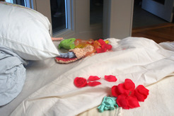 <p>"Forced Removal" 2006 &nbsp;(detail) Size variable.&nbsp;</p>
<p class="p1">&nbsp;Pillow, embroidered pillowcase, &nbsp;bedding, silicone guns, salt, &nbsp;silk rose pettals, &nbsp;ribbons, holster made of &nbsp;silk roses.</p>
<p class="p1"><span>(</span><span>REFLECTIONS ON EXILE: Five Contemporary African Artists, The Museum&nbsp;</span></p>
<p class="p1">&nbsp;of the National Center of Afro-American Artists, Boston MA (Curated)&nbsp;</p>
<p class="p1">&nbsp;</p>