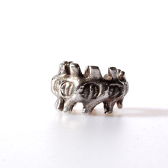 <p><span>Alien Spine Ring</span></p>