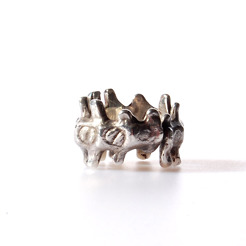 <p><span>Alien Spine Ring</span></p>