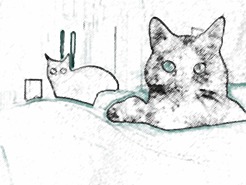 <p>You can never go wrong with sketched cats.</p>