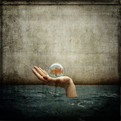 <p>This little fishing is right at home in this image of a drowning man in a flooded room.</p>