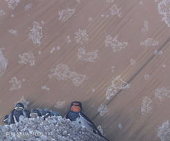 <p>In Memoriam: Natural Selection, 2012, oil and acrylic on canvas panel, 50 x 60 cm</p>