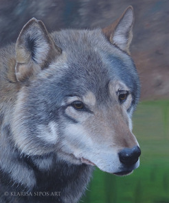 <p>In the Presence of a Wolf, 2013, oil and acrylic on canvas panel, 60 x 50 cm</p>