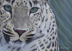 <p>Ljubljana Leopard, 2013, oil and acrylic on canvas panel, 60 x 50 cm</p>