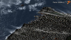 <p><strong>CITY OF LANKHMAR</strong></p>
<p>3d render based on the map published in TSR's Lankhmar modules.</p>
<p>&nbsp;</p>