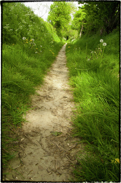 <p><span style="color: #000000;">LEEFDAAL, Belgi&euml;</span></p>