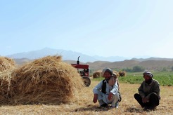 <p><span class="st"><span class="st">Agriculture has traditionally driven the Afghan economy, </span>despite the fact that only 12% of its total land is arable.</span></p>