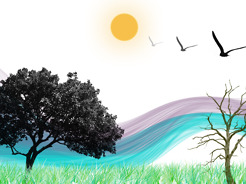 <p>Nature</p>
<p>Tool used: Photoshop</p>