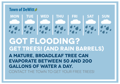 <p>This postcard was sent to residents of the Town of DeWitt, NY to promote the availability of free trees and rain barrels to control excess stormwater as part of the town's green infrastructure program.</p>