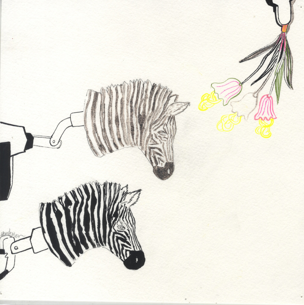 Portfolio Thumbnail