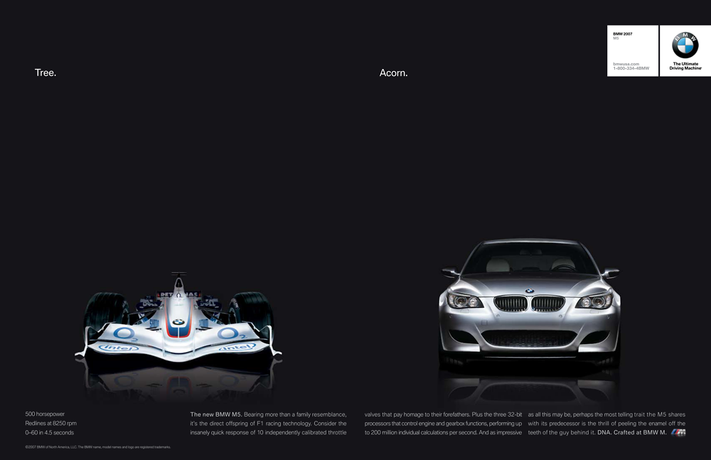 Portfolio Thumbnail