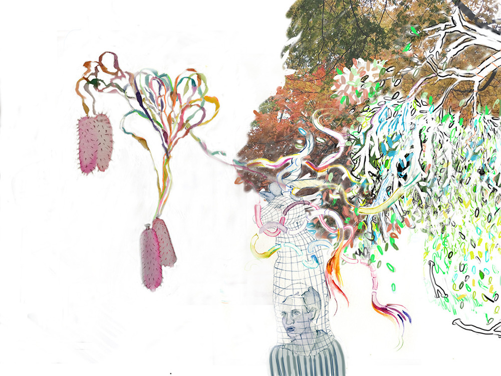 Portfolio Thumbnail