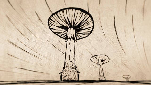 Portfolio Image
