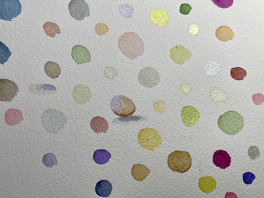 Portfolio Thumbnail