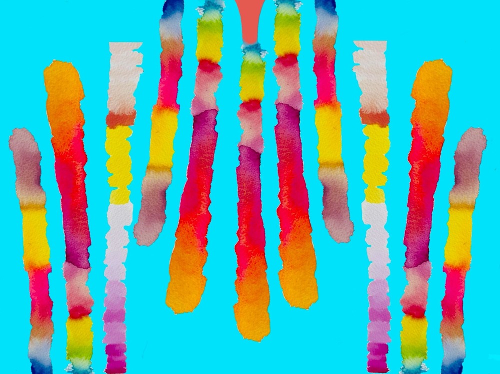 Portfolio Thumbnail