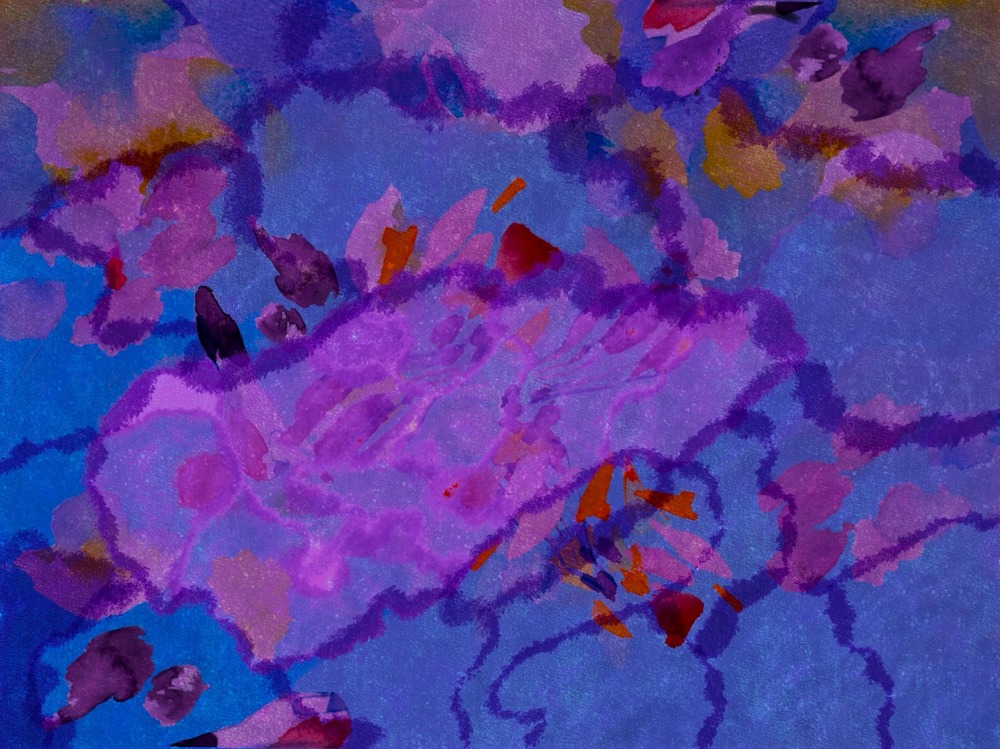 Portfolio Thumbnail