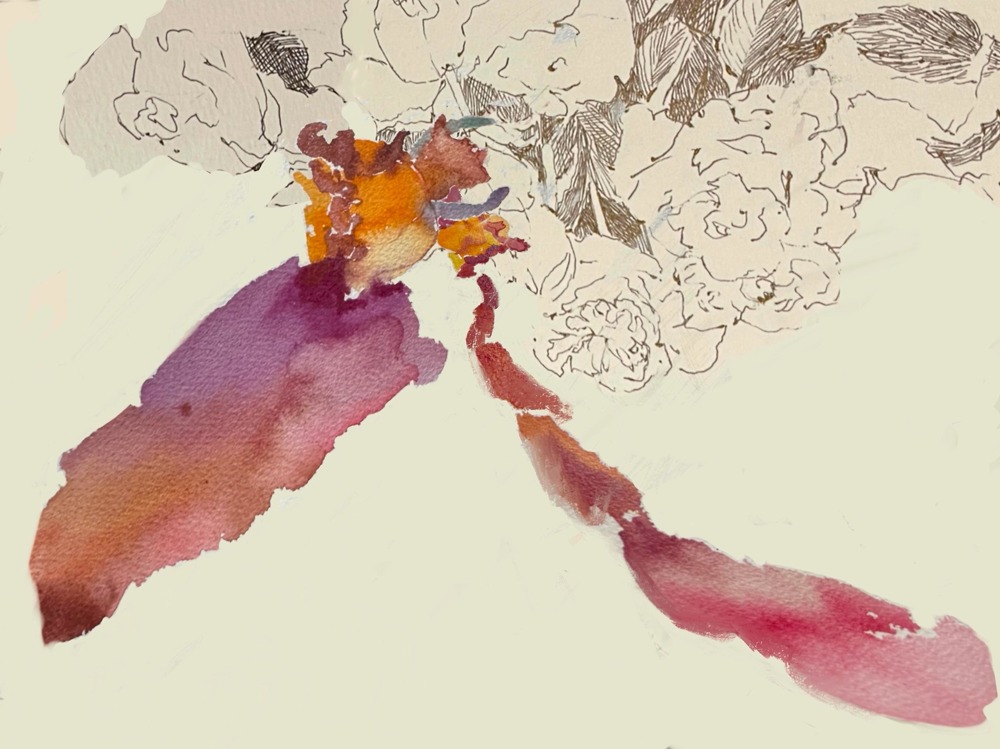 Portfolio Thumbnail