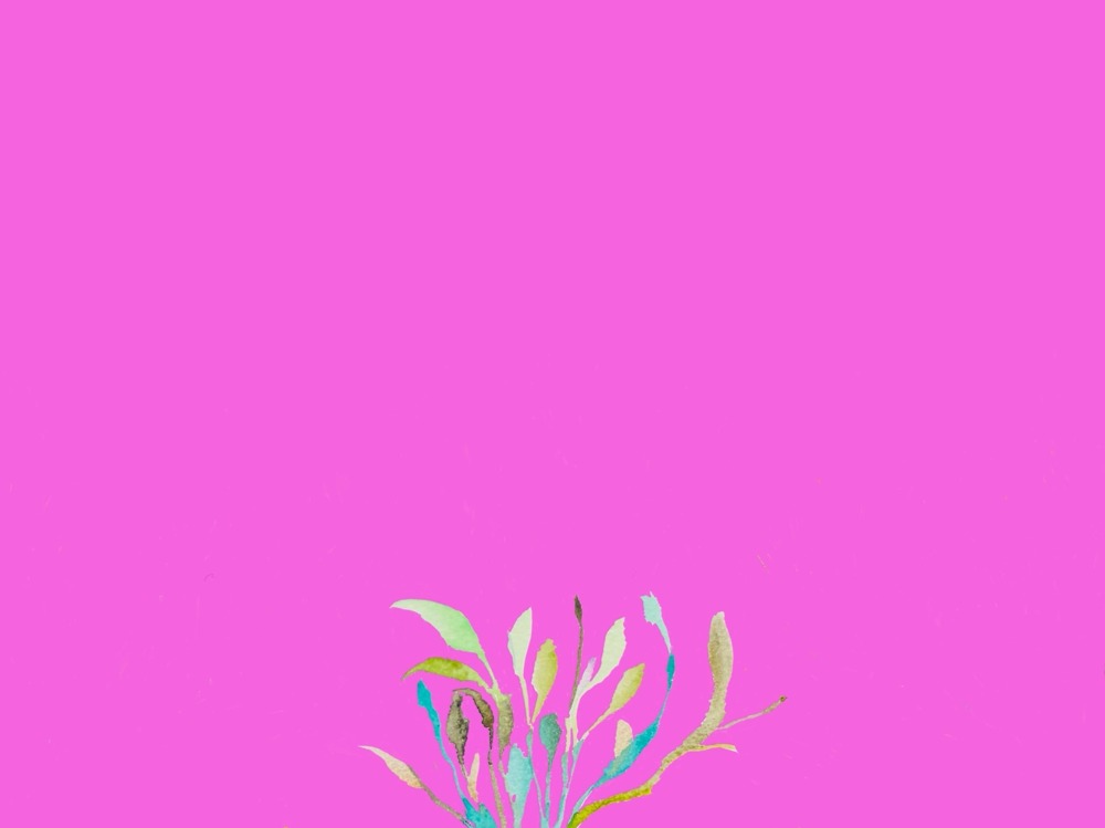 Portfolio Thumbnail