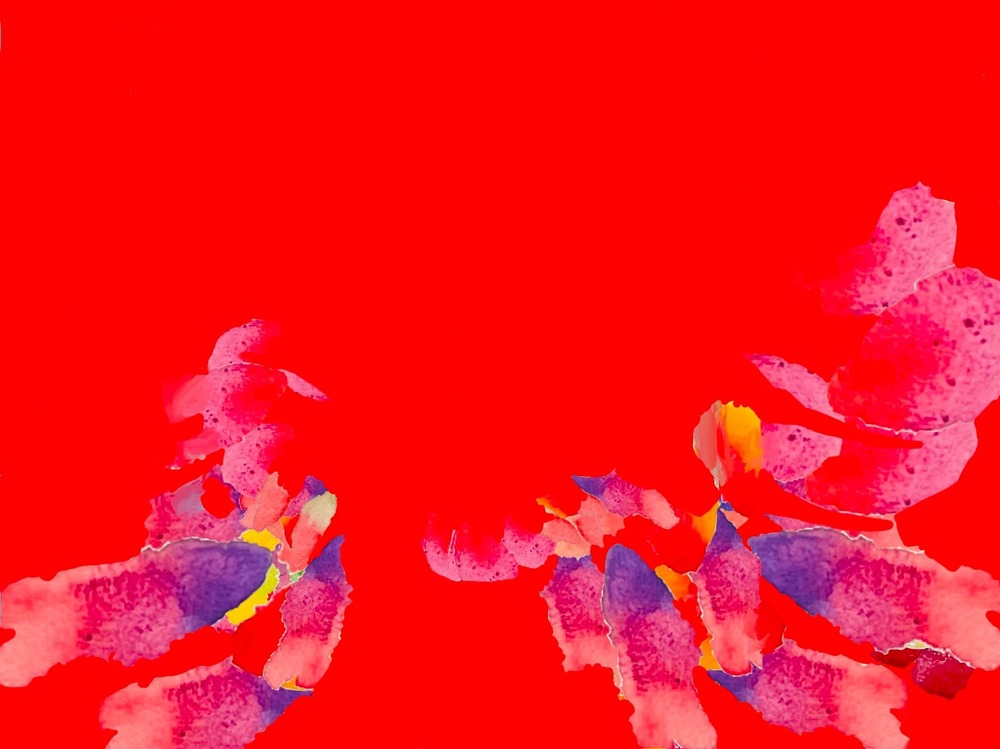 Portfolio Thumbnail