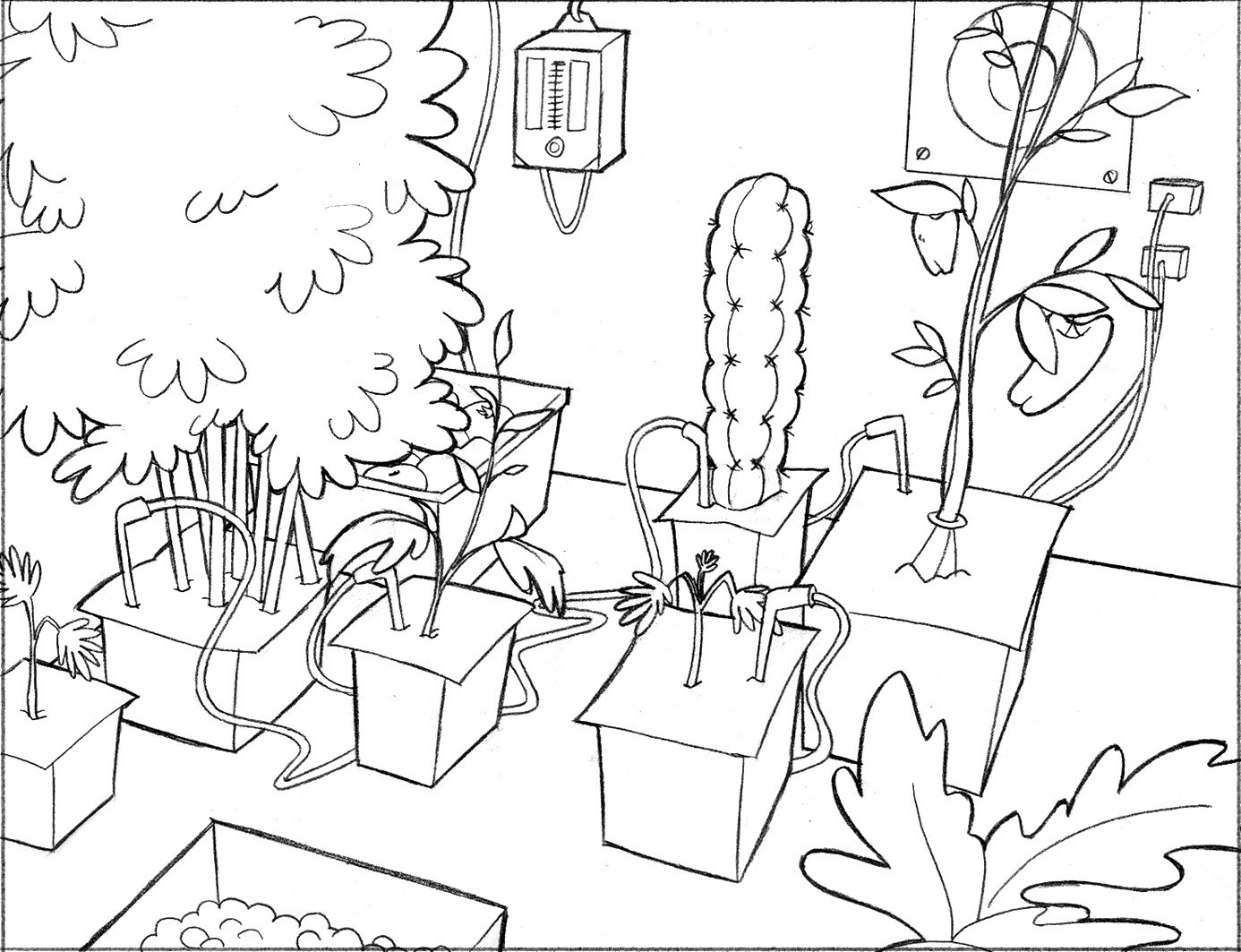 Portfolio Thumbnail