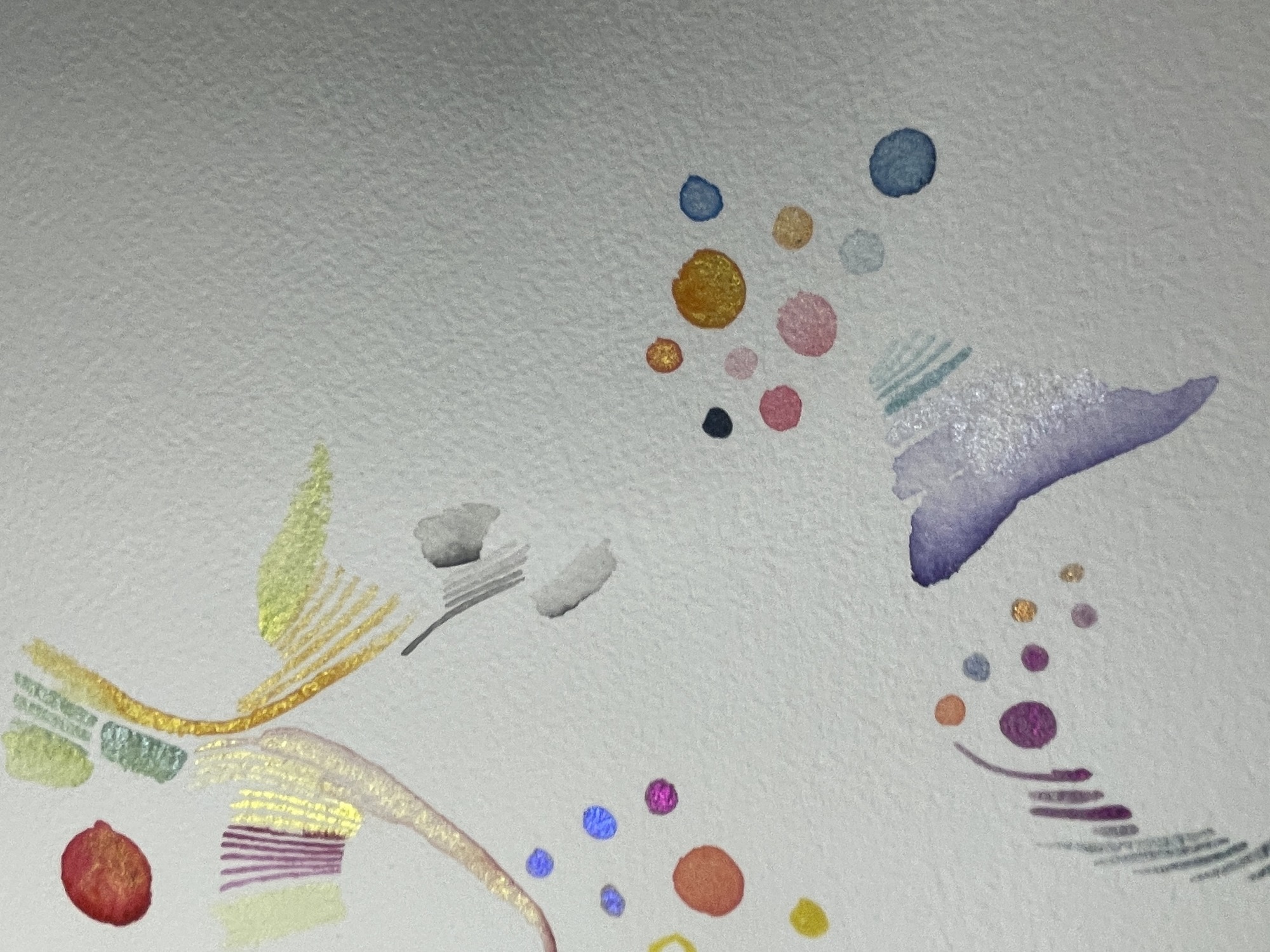 Portfolio Thumbnail