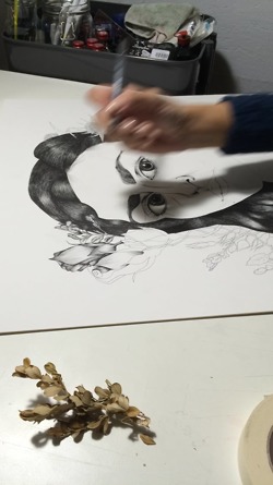 Portfolio Thumbnail