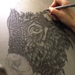 Portfolio Thumbnail